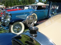 Piecrce Arrow Wheel Hood ornament.jpg